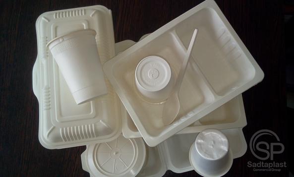 4 Golden Points to Select Disposable Plastic Containers