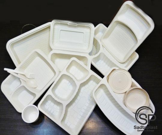 High Quality Disposable Plastic Containers for Sale